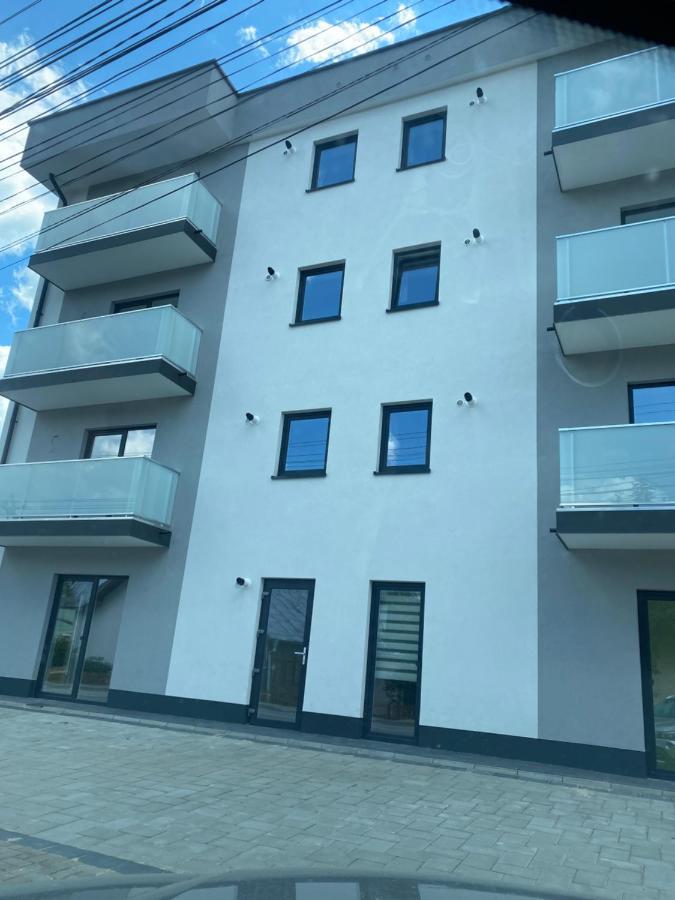 Luxury Queen Câmpulung Moldovenesc Eksteriør billede